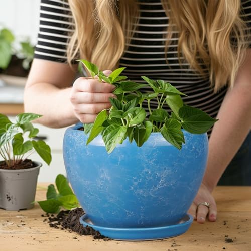 Ceramicfor Ceramic Planter, 8 Inch Plant Pot, Blue - Image 7