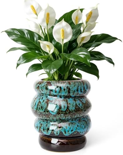 5 inch Ceramic Plant Pot - Flower Pot for Indoor Plants with Drainage Hole by YINUOWEI