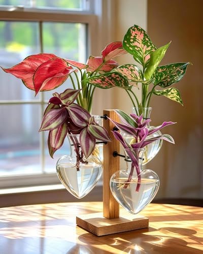 Plant Propagation Stations with Wood Stand, 4 Vases Love Shape - Image 3