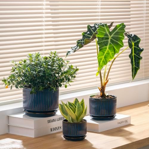 SURE YUESI Ceramic Plant Pots Set of 3, Indoor Outdoor Planters with Drainage Hole and Saucer, Ceramic Flower Pots for Indoor Plants, 4.3+5.5+6.8 Inch, Home, Garden, Patio and Office, Glossy Blue - Image 2