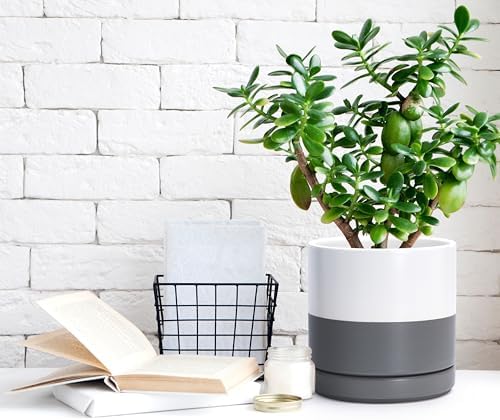 D'vine Dev 6.5 Inch Ceramic Planter Pot, White/Grey, 94-O-C-6 - Image 2