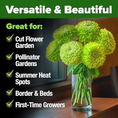 HOME GROWN Envy Zinnia 8,500 Flower Seeds 2 oz Zinnia elegans - Image 6