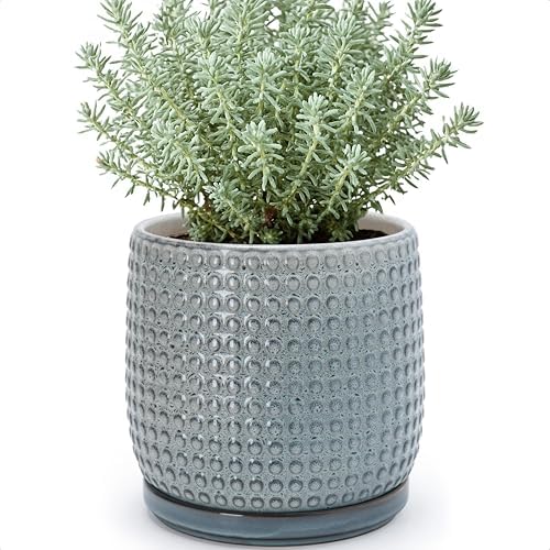D'vine Dev Beaded Ceramic Pot with Saucer, 8 in, Graphite Blue, 27-C-Q-9 by DvineDevPlanterPotsandStand