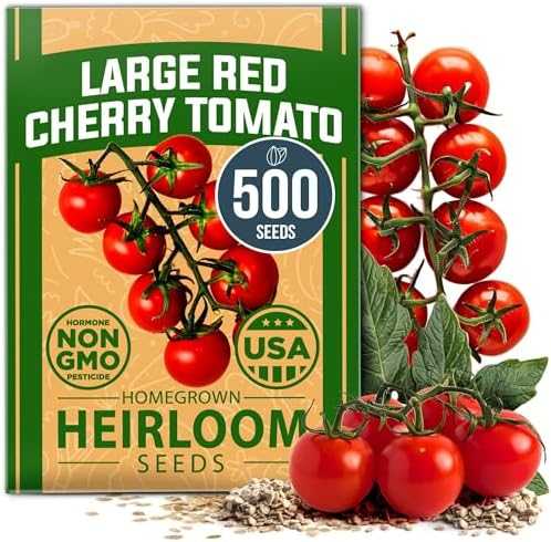 HOME GROWN Large Red Cherry Tomato Seeds, 500+ Seeds, Solanum lycopersicum by HOMEGROWN