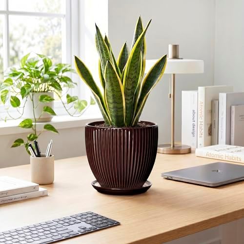 8 Inch Flower Pot, Ceramic Planters with Drainage Hole and Plant Saucer, Round Planters for Indoor Plants, Modern Plant Pot, Decorative Planter, Home Entryway Decor, Women Men Gifts, Brown - Image 3