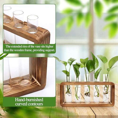 Glass Plant Propagation Station with 5 Test Tubes Colorful Planter Vase - Image 4