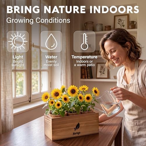 AVERGO Sunflower Seeds Growing Kit - Image 5