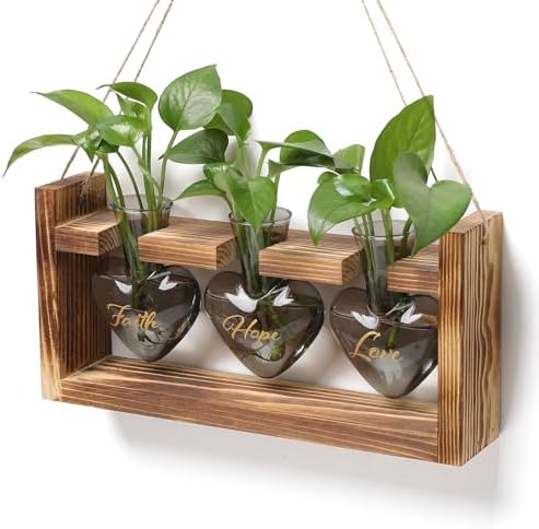 Plant Terrarium Propagation Stations Hydroponics by MTsigns