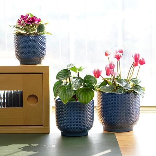 4 + 5 + 6 Inch Ceramic Pots for Indoor Plants, Succulents Plant Pots, Orchid Flower Pot with Drainage Hole, Modern Clay Stoneware Planters, Set of 3 (Dusty Blue, 4+5+6 Inch) - Image 7