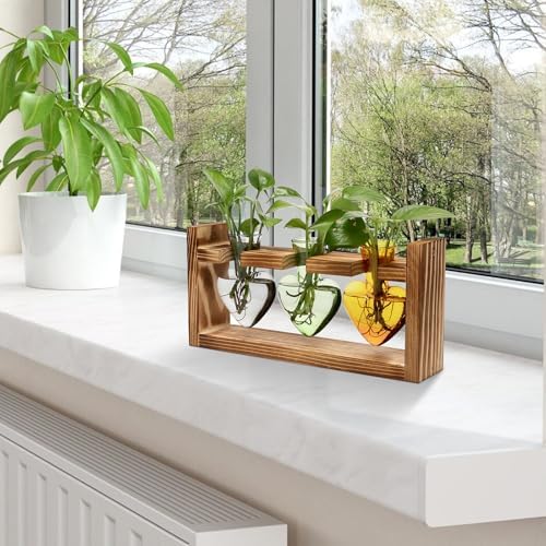 Plant Terrarium Propagation Stations Hydroponics - Image 6