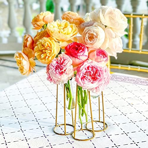 Propagation Station Terrariums with Gold Metal Stand - Kate Aspen 3 Glass Test Tube Planters for Indoor Plant, Air Plants, Plant Clippings, Cut Flowers, Herbs, Succulents | Home Decor Table Decoration - Image 2