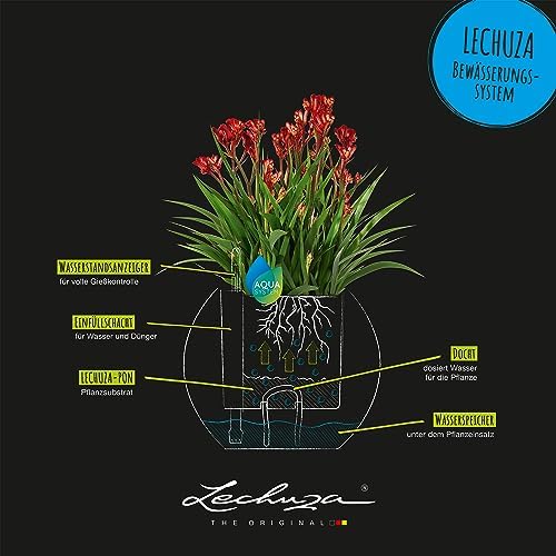 Lechuza Puro Color 20 White, Self-Watering Small Indoor Planter, D7.9 H6.3 in - Image 4