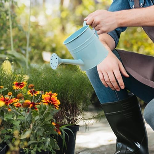 Small Watering Can, 1L Metal Flower Garden Watering Can, Gardening Tool Accessories for Outdoor Indoor Plants Lawn (Light Blue) - Image 3