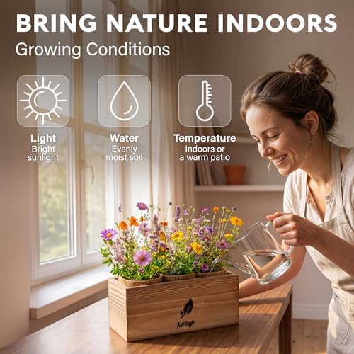 AVERGO Wildflower Seed Mix Growing Kit - Image 5