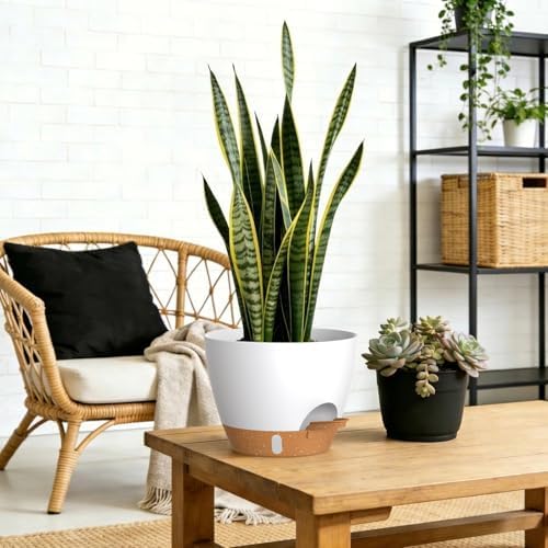 Self Watering Pots with Drainage Holes, 3 Pack 12/10/8 Inch Plant Pots with Water Level Indicator Deep Reservoir, Large Plastic Planter for Indoor Outdoor Plants - White Brown - Image 6