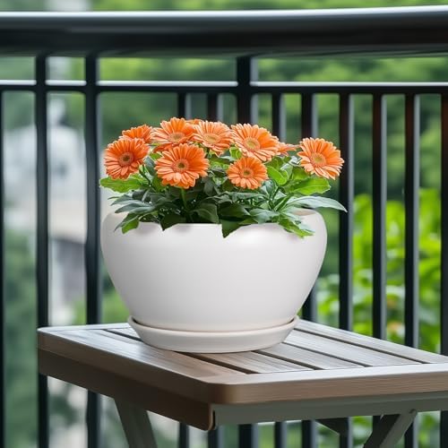 Ceramicfor Ceramic Planter for Indoor Plants - 11 Inch Plant Pot with Drainage Hole and Saucer Decorative Round Large Planter Pot for Plants Outdoor Flower Pot for Garden White - Image 4