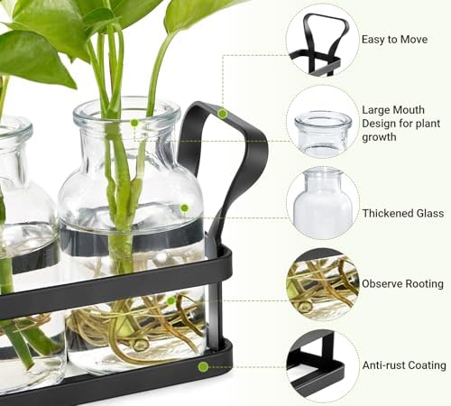 Mkono Propagation Stations, 5 Jars Desktop Glass Plant Terrarium with Stand - Image 4