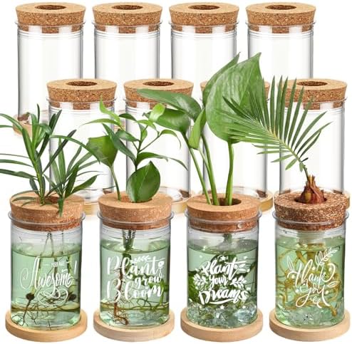 Baderke 12 Pack Plant Propagation Jars Cork Lids Bamboo Stand,Awesome by Baderke