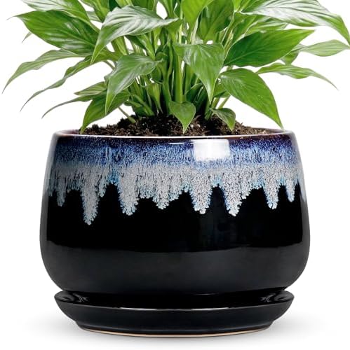 Ceramic Plant Pots 7 Inch - Ceramic Planter with Drainage Hole and Saucer, Decorative Flower Pots for Indoor Plants, Indoor Planter, House Garden Decor, Gifts for Plant Lovers, Black-Blue by Fivepot