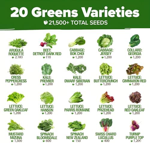 HOME GROWN 20 Variety Lettuce Seed Mix, 21,500+ Seeds, Indoor & Hydroponic - Image 2