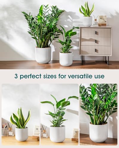 vancasso 6+8+10 inches Ceramic Plant Pots, Set of 3, Planters with Drainage Hole, Flower Pots Planters Pots for Indoor Plants, Modern Indoor Decorative Garden Pot, Home Decor, White - Image 5
