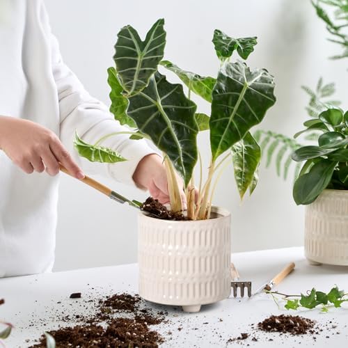 STHIE 5 Inch Ceramic Planters for Indoor Plants, White Snake Plant Pots - Image 5