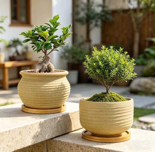 MUZHI Rustic 4 inch Bonsai Plant Pot with Bamboo Tray Set of 4, Unglazed Ceramic Succulent Cactus Pot Indoor Outerdoor with Drainage Hole - Image 4