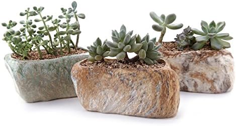 T4U 5.5 Inch Ceramic Succulent Pot Planter with Drainage Hole Set of 3, Stone Shape Rectangle Window Box Cactus Plant Containers Gift for Mom Sister Aunt Best for Home Office Table Desk Decoration by T4U