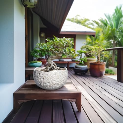 10 Inch Planter, Ceramic Pots for Plants with Drainage Hole, Grey - Image 4