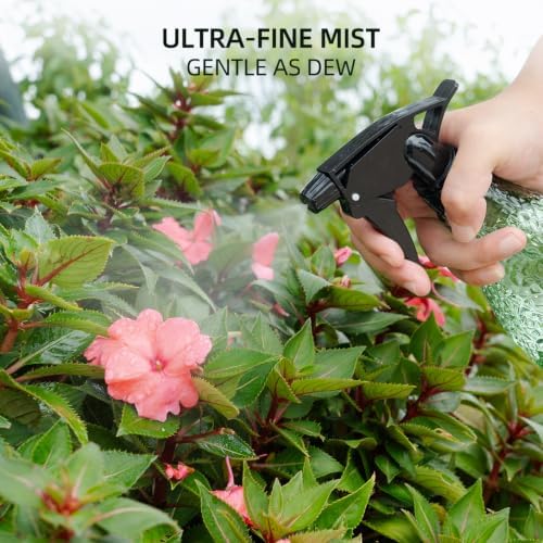 Glass Plant Mister Spray Bottle for Indoor Plants, 13oz, Mint Green - Image 6