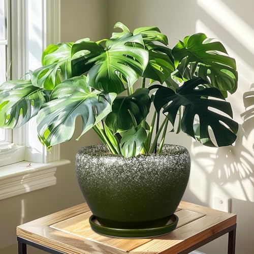 Ceramicfor 10 Inch Planter Pot, Ceramic Pots for Plants, Dark Green - Image 7