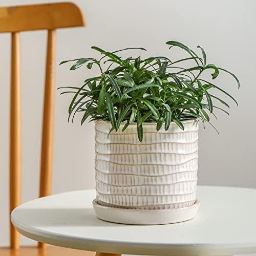 5.8 Inch Ceramic Planter with Drainage Hole & Bonded Saucer - Image 5
