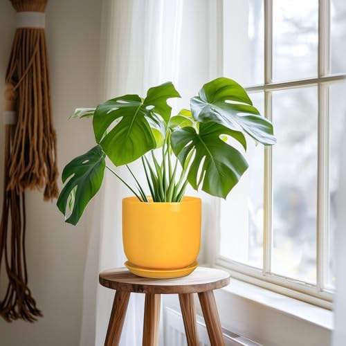 Indoor Plant Pot - 7 Inch Modern Round Ceramic Planter for Indoor Outdoor Plants with Drainage Hole and Saucer, Home Garden Office House Decor, Yellow - Image 6