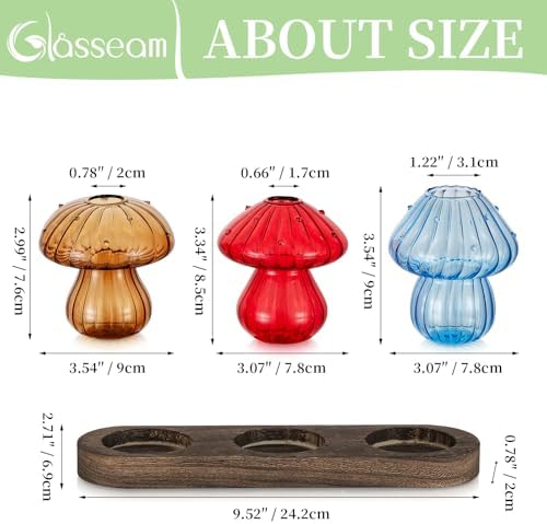 Glasseam 3Pcs Mushroom Propagation Station: Glass Terrarium Jar for Plants - Image 6