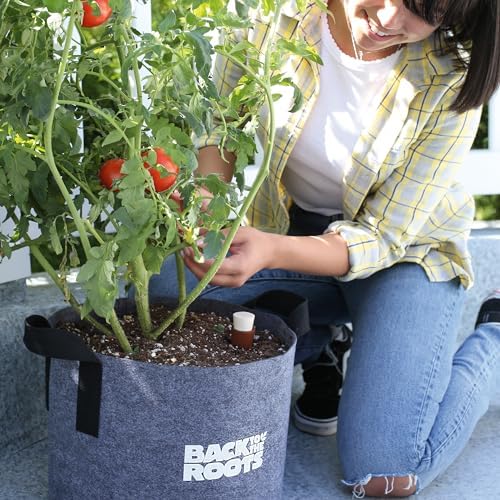 Back to the Roots Self-Watering Terracotta Olla Pot (Pack of 3), 700mL Provides 1 Week of Precision Watering - Image 5