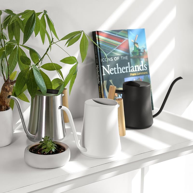Small Watering Can Indoor Plants Metal Watering Cans 1L/34oz (White) - Image 3