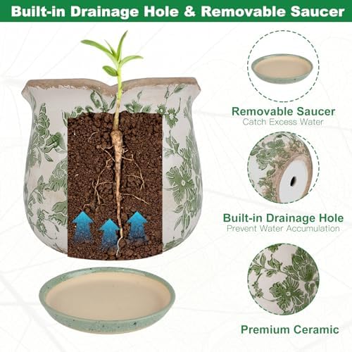 Ceramic-Planters-for-Indoor-Plants with Saucer, 6 inch Vintage Ice Crack Glaze Plant Pots with Drainage Holes, Decorative Flower Pots for Outdoor Garden Home Decor, Tuscan Pot for Plant - Image 4