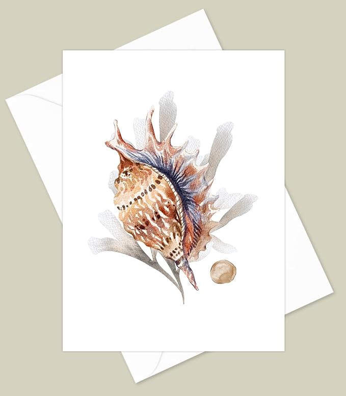 Sea Shell Greeting Cards - Set of 10 All Occasion 5 x 7 Note Cards with Envelopes. Blank Inside. Watercolor Designs of Seashells, Starfish and Coral
