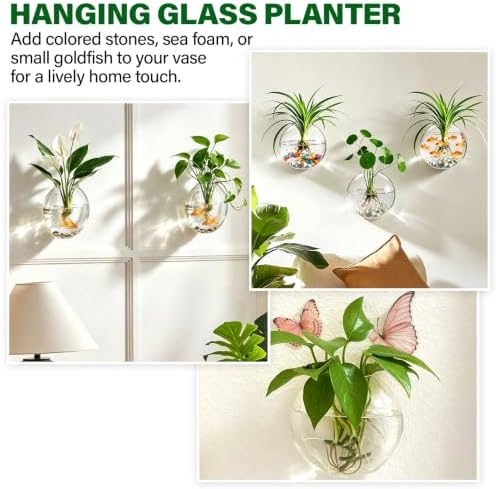 Window Propagation Stations, Wall Hanging Planters for Hydroponics - Image 5