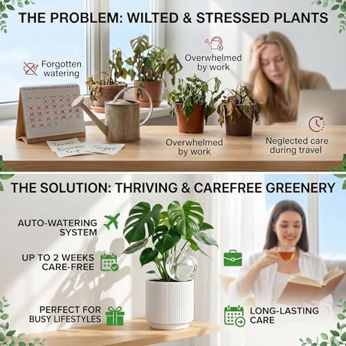 4 Pack 26 oz Extra Large Plant Self Watering Globes to 3 Weeks Watering - Image 5