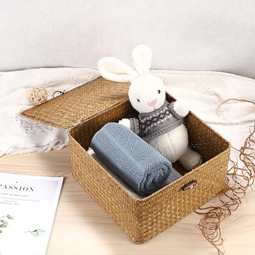 Hipiwe Wicker Basket with Lids, Seagrass Handwoven Storage Bins for Shelves - Image 2