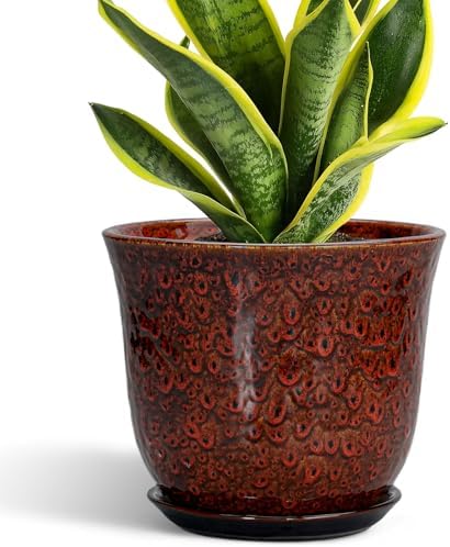 Ceramic Planter - 8 Inch Plant Pot for Indoor Outdoor, Ceramic Flower Pots with Drainage Hole and Saucer, Round Planter, Decorative Plant Pot, Room Home Apartment Decor, Gift for Women, Red by SUNPOTFOR