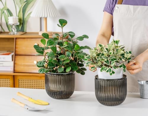 Melphoe Self Watering Pots for Indoor Plants Planter, 6.5 Inch 2 Pack Planters Self Watering Plant Pots for Flower, Houseplants, Succulent, African Violets and Cactus with Drainage - Image 2