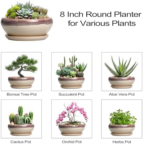 SQOWL Succulent Pots 8 Inch - Ceramic Bonsai Pots for Indoor Plants, Round Shallow Plant Pot with Drainage Hole and Saucer, Bowl Planter Outdoor, Patio Decor, Plant Lover Gifts, Beige - Image 7