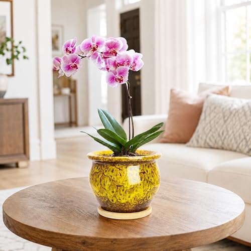 Plant Pots, 4.5 Inch Plant Pots for Indoor, Small Ceramic Planter with Tray - Image 6