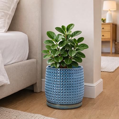 D'vine Dev Beaded Ceramic Pot with Saucer, 8 in, Ocean Teal, 27-C-Q-8 - Image 6