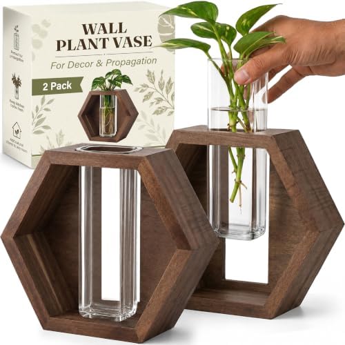 AVERGO Wall Plant Decor (2-Pack), Acacia Wood Indoor Wall Planter by Plantingseedsgrowingdreams