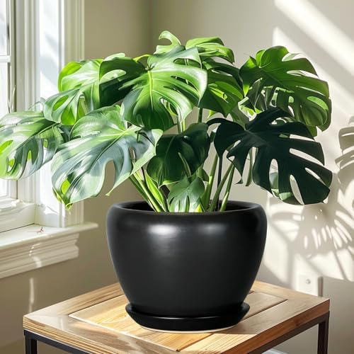 Ceramicfor Ceramic Pot for Plants, 10 Inch Plant Pot, Black - Image 6