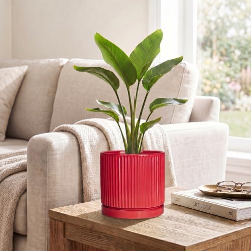 6 Inch Ceramic Plant Pots, Pots for Plants with Saucer, Red - Image 5