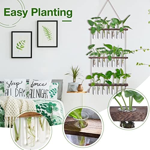 XXXFLOWER Wall Hanging Propagation Station with Wooden Stand - Image 3